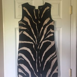Loft Zebra Dress